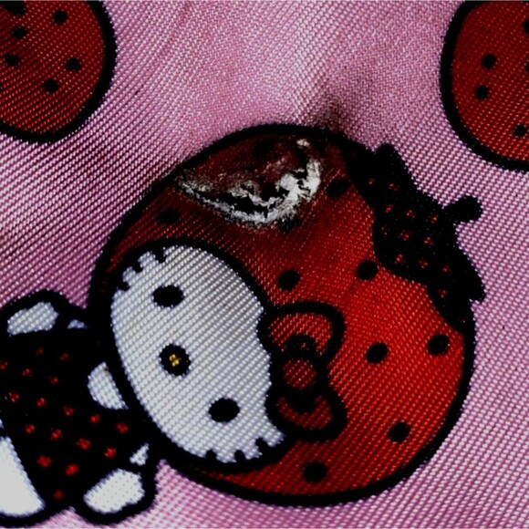 Hello Kitty Strawberry Sanrio Roller Luggage Travel Bag AESTHETICALLY DAMAGED - Picture 6 of 12